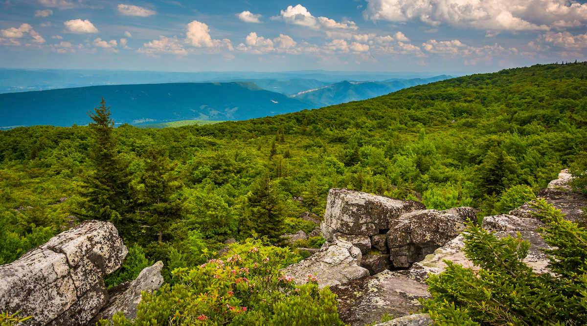 US-119 in Morgantown